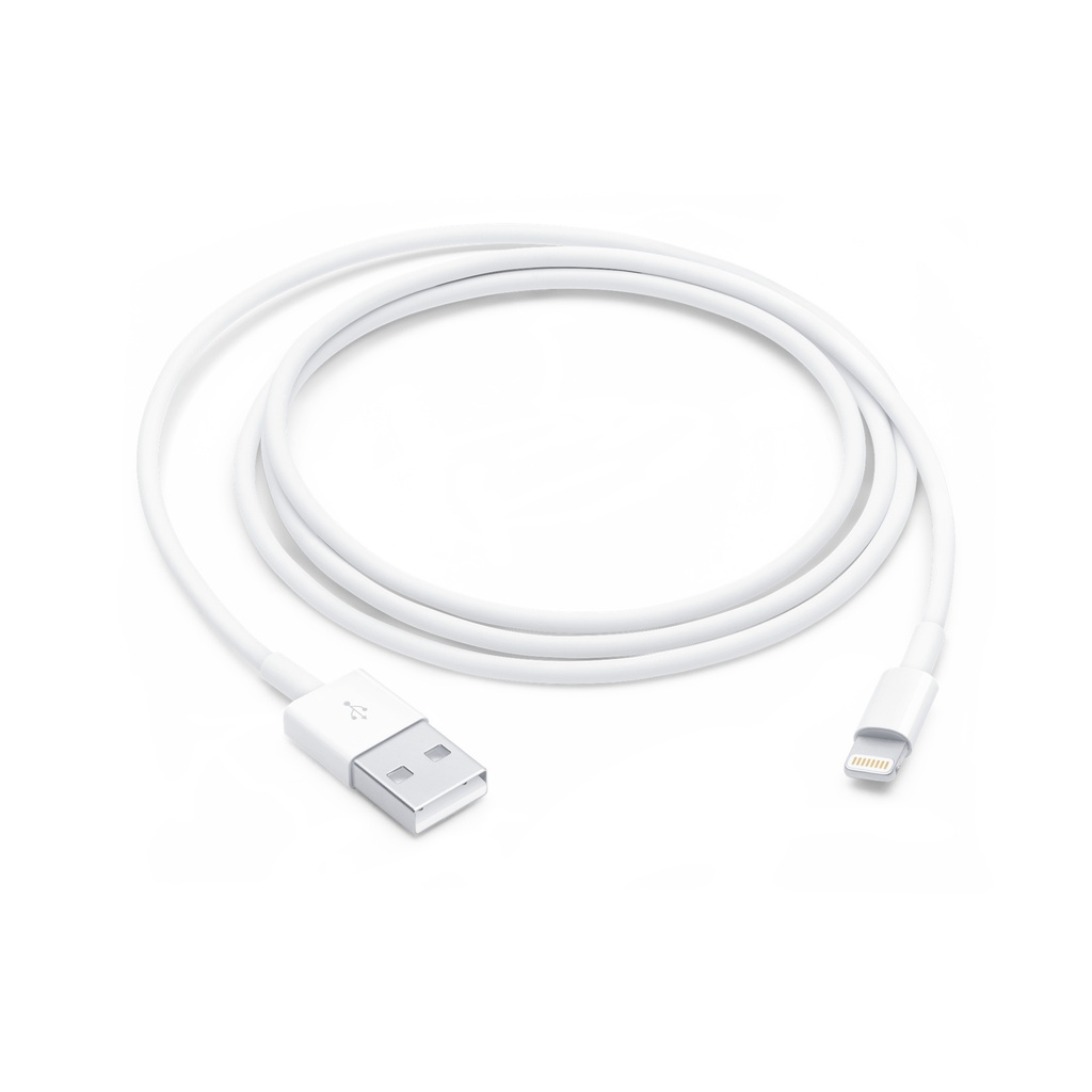 Apple iPhone 8/SE/11 Data Kabel Lightning to USB 1m MD818