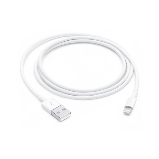 [MD818] Apple iPhone 8/SE/11 Data Kabel Lightning to USB 1m MD818
